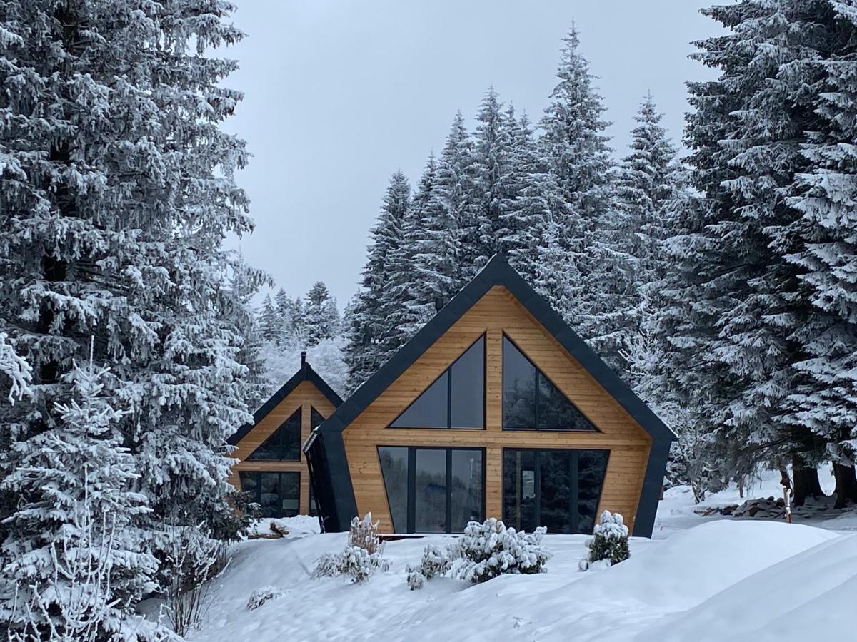 Chalet Belveder Horska Chata เชเลซนารูดา ภายนอก รูปภาพ